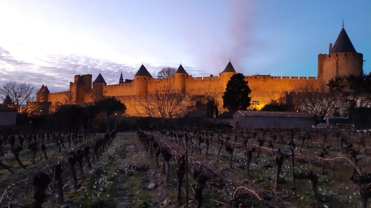 Domaine Fontgrande Gite Carcassonne Exterior photo