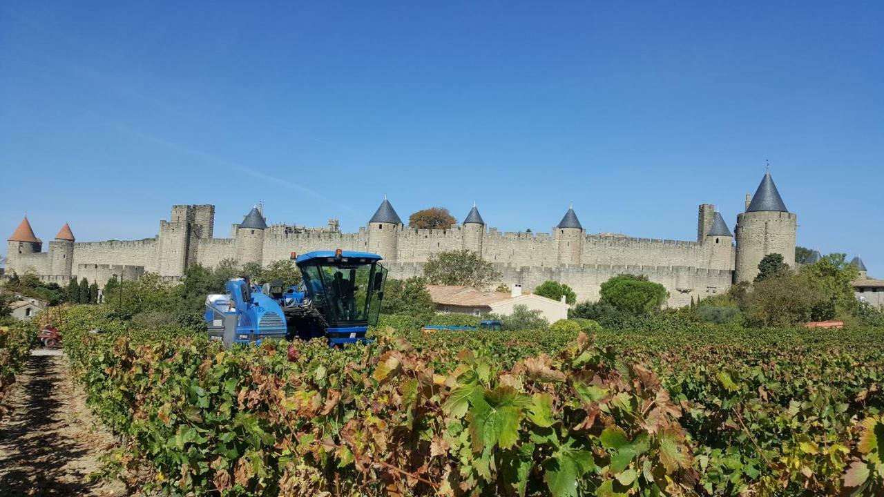 Domaine Fontgrande Gite Carcassonne Exterior photo
